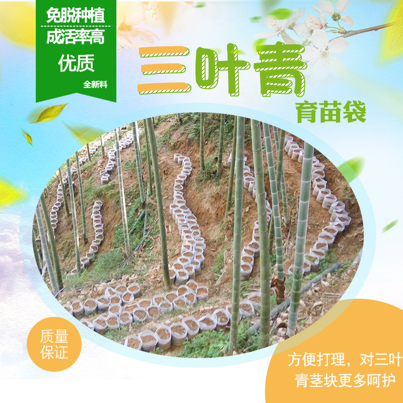 药材育苗袋 三叶青塑料育苗袋 营养袋 种植袋 优质全新料育苗容器