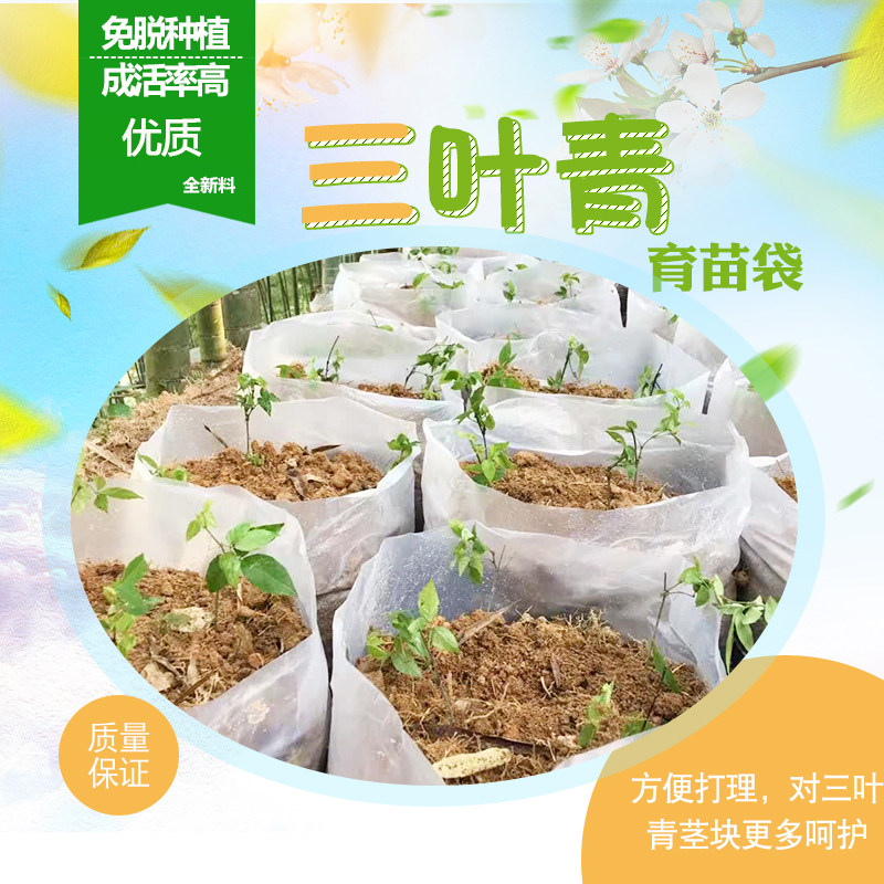 药材育苗袋 三叶青塑料育苗袋 营养袋 种植袋 优质全新料育苗容器