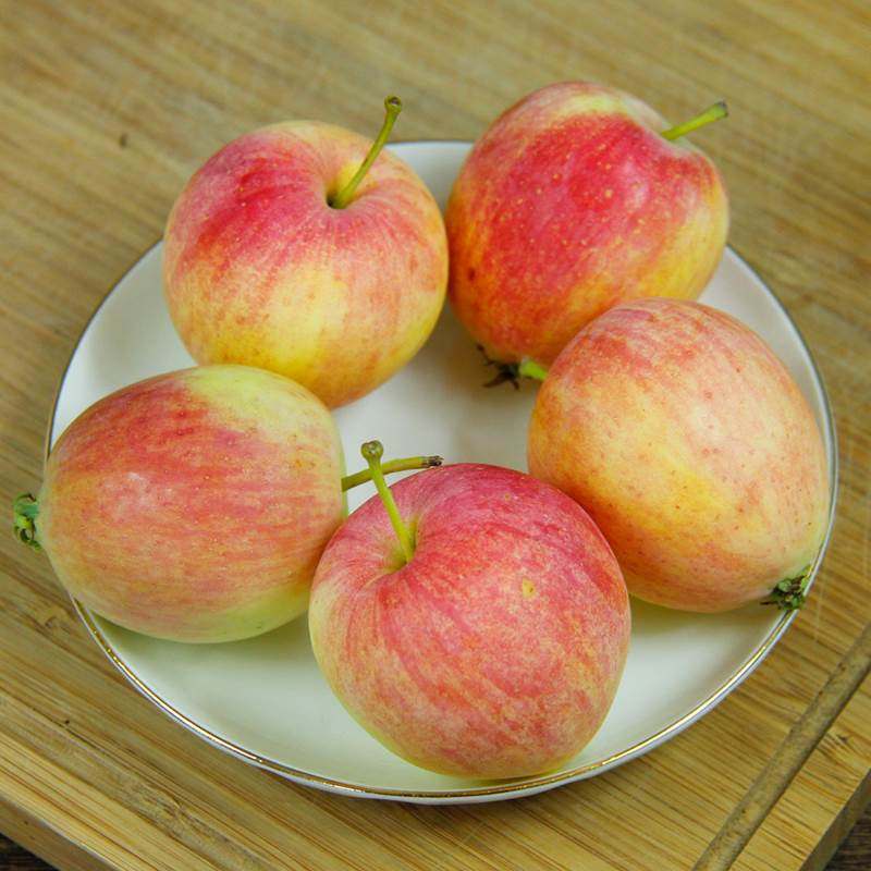 东北k9沙果海棠果5斤包邮特产开久花红小苹果苹果