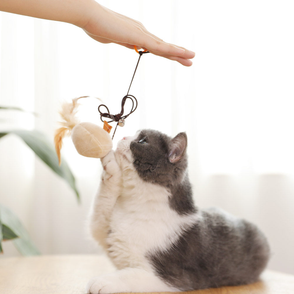 逗猫用品玩具羽毛小猫神器猫猫套装猫咪大全逗猫棒