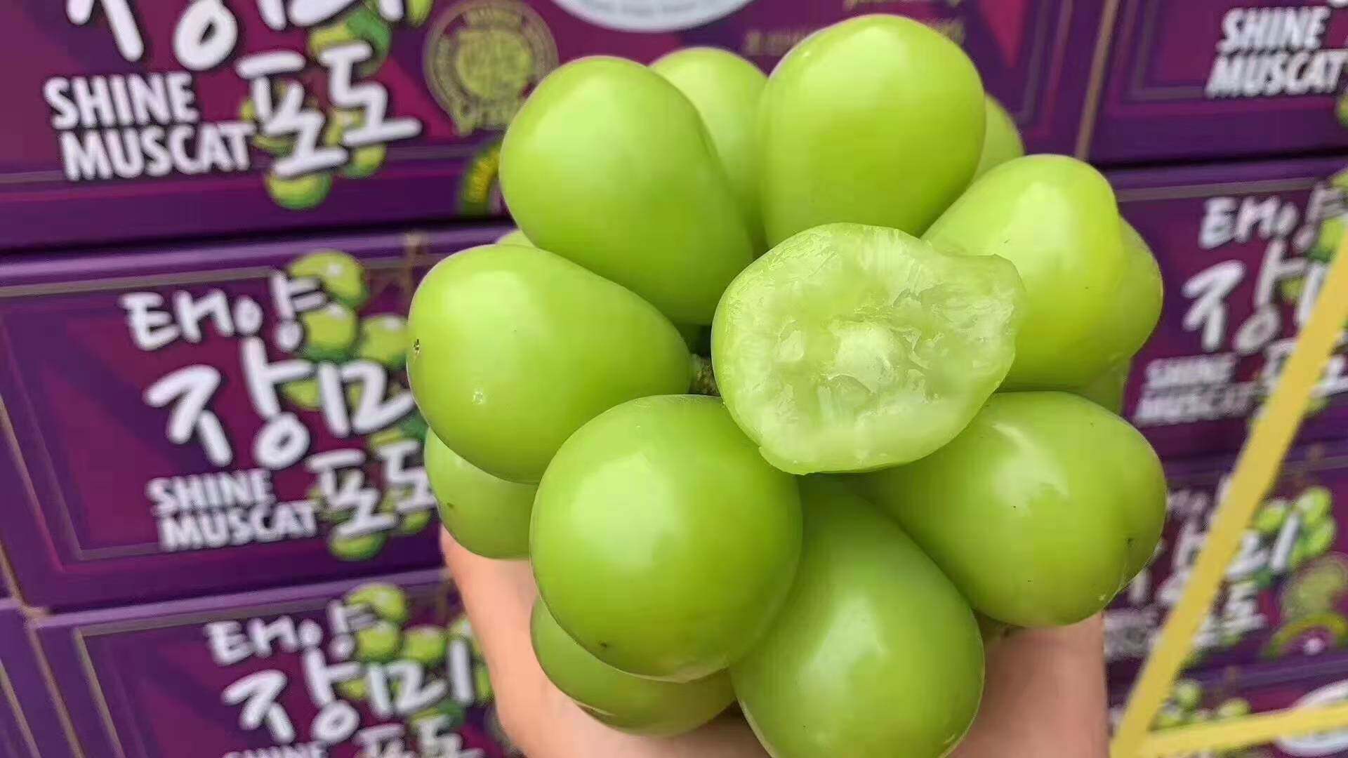 韩国晴王葡萄2-3串2公斤够大够香够甜单粒15g甜瓜