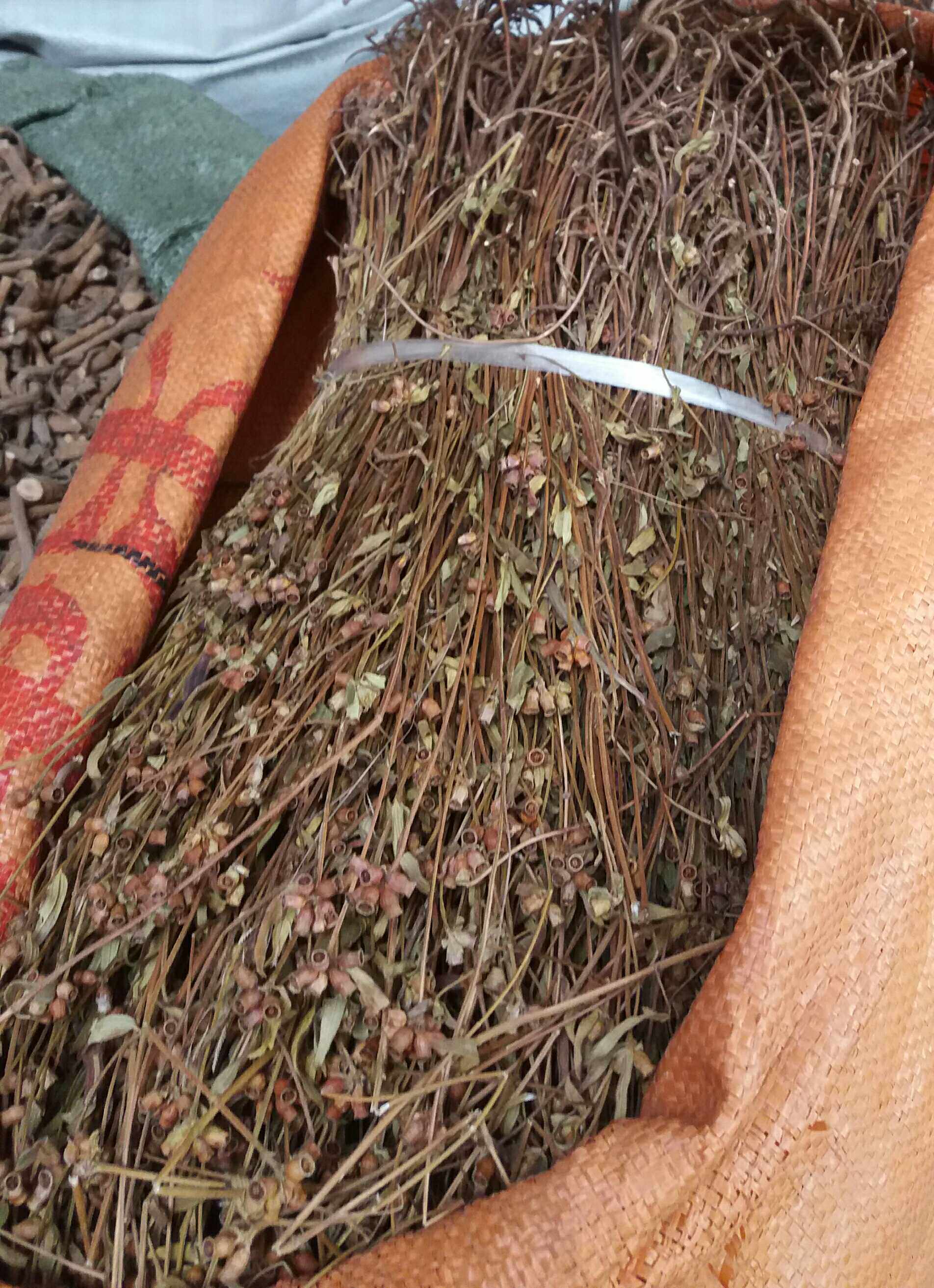 正品香炉金锦香天吊小金金钟蜂窝朝天500克其它干货