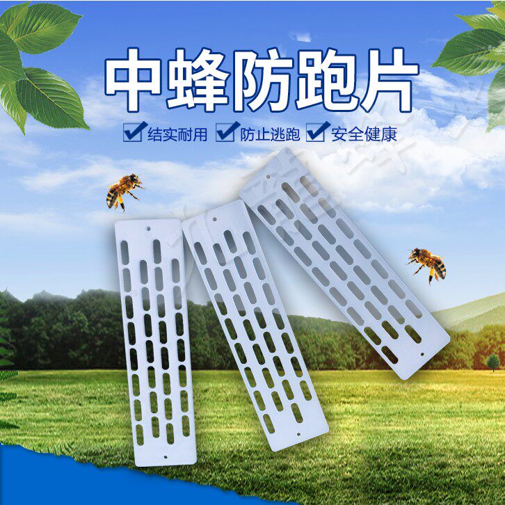 中蜂防逃片蜜蜂中蜂蜂王防逃王片蜂箱防跑片多功能防逃框防盗隔王