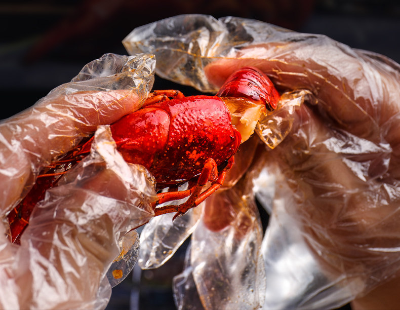 加厚一次性手套家用厨房食品餐饮塑料透明龙虾一次性手套