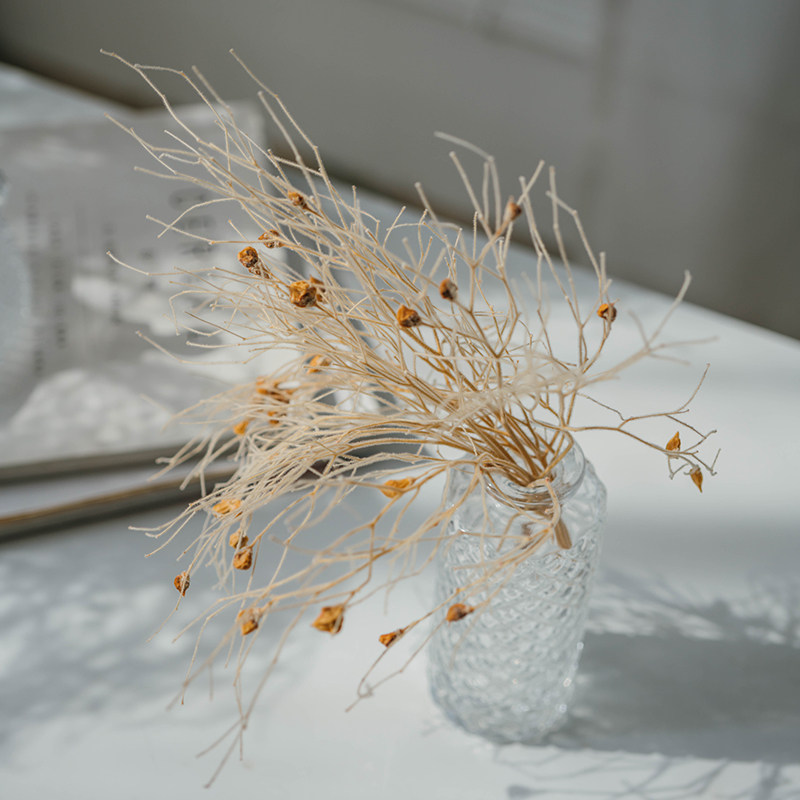 柔丝天然干花花艺设计师搭配设计设计家家居橱窗干花