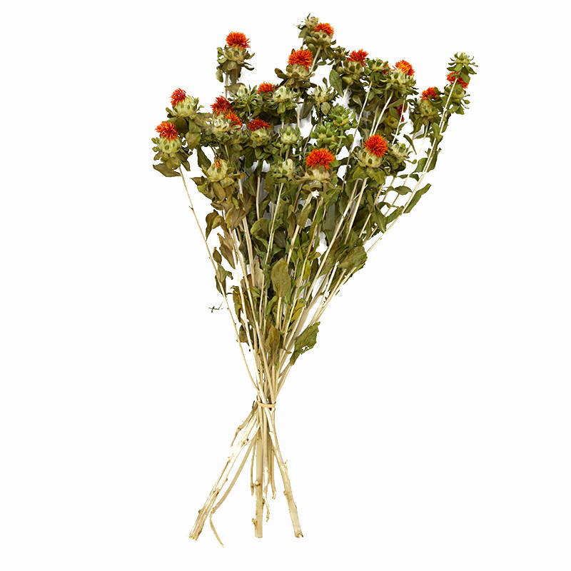 ins简约天然干花干燥花橙菠萝橱窗摆设插花干花