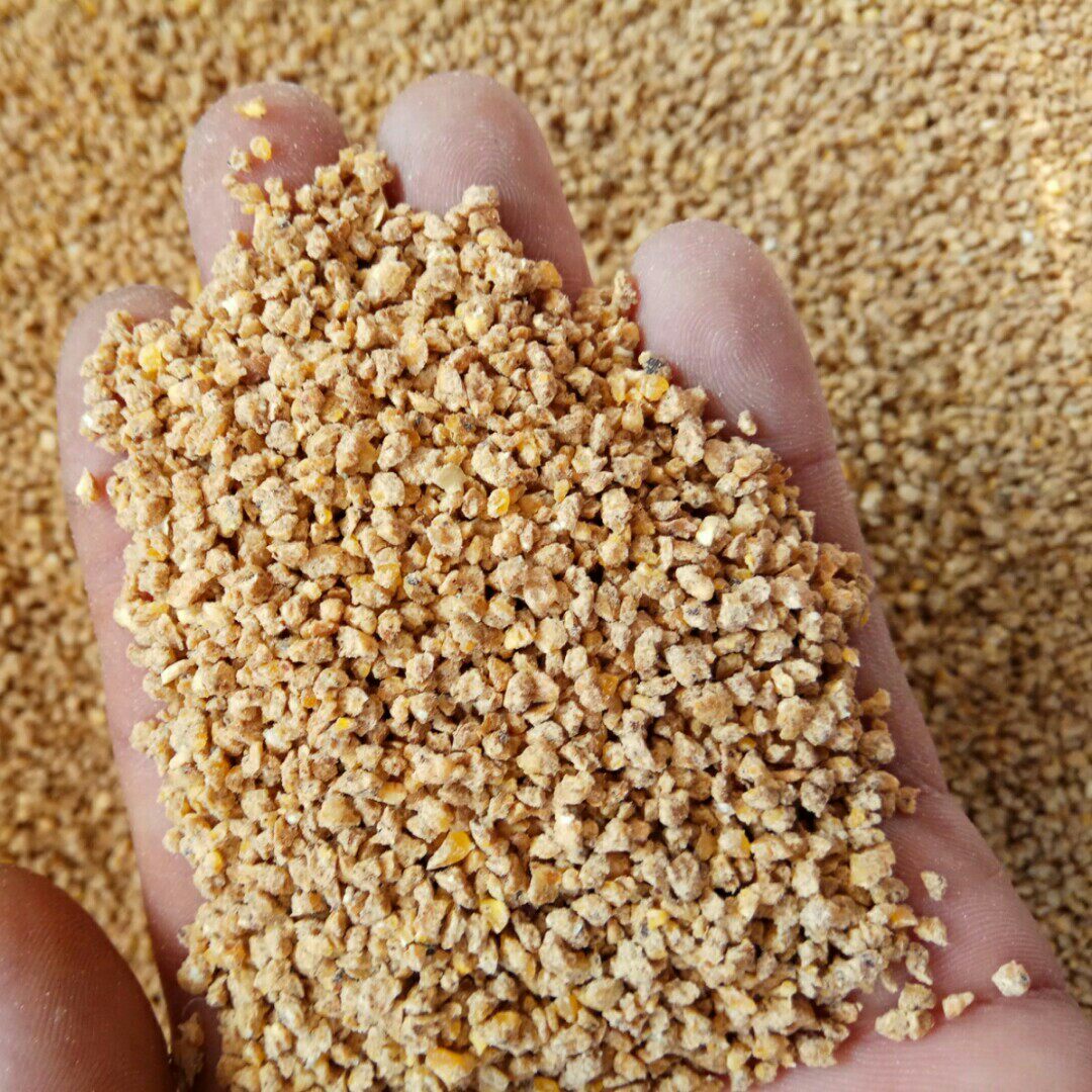 饲料小鸡正大雏鸡开口料鸡鸭鹅鹧鸪鹌鹑食物全价料