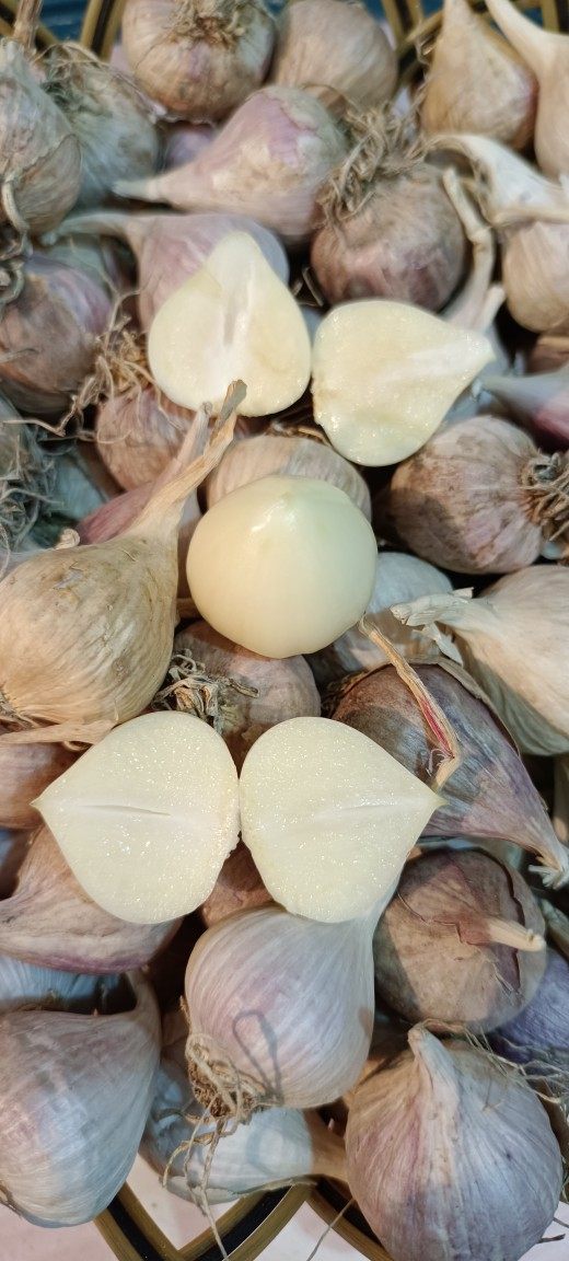 新鲜紫皮大蒜独头珍珠蒜东北农家自种迷你小独头蒜干蒜无肥无农药