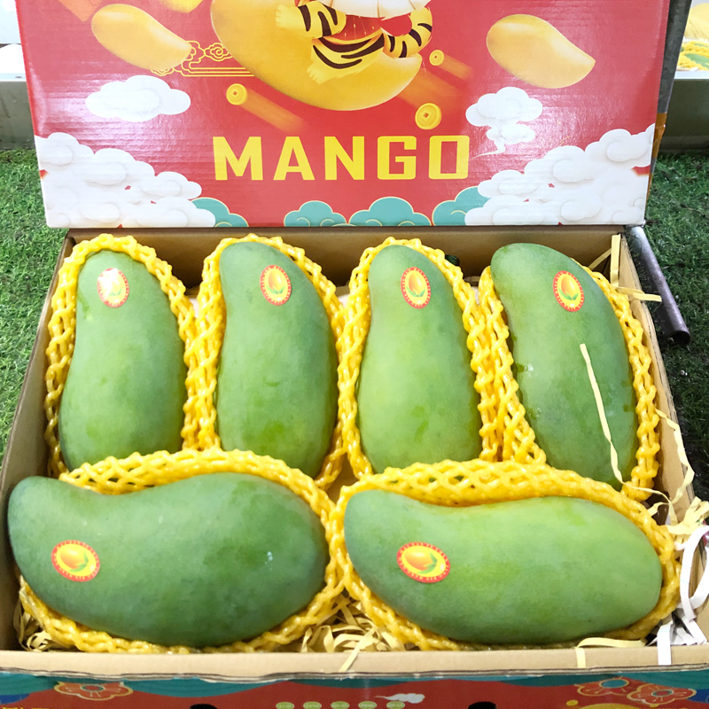 三亚顺丰海南亚大青芒果10斤带箱礼盒盒装净重芒果