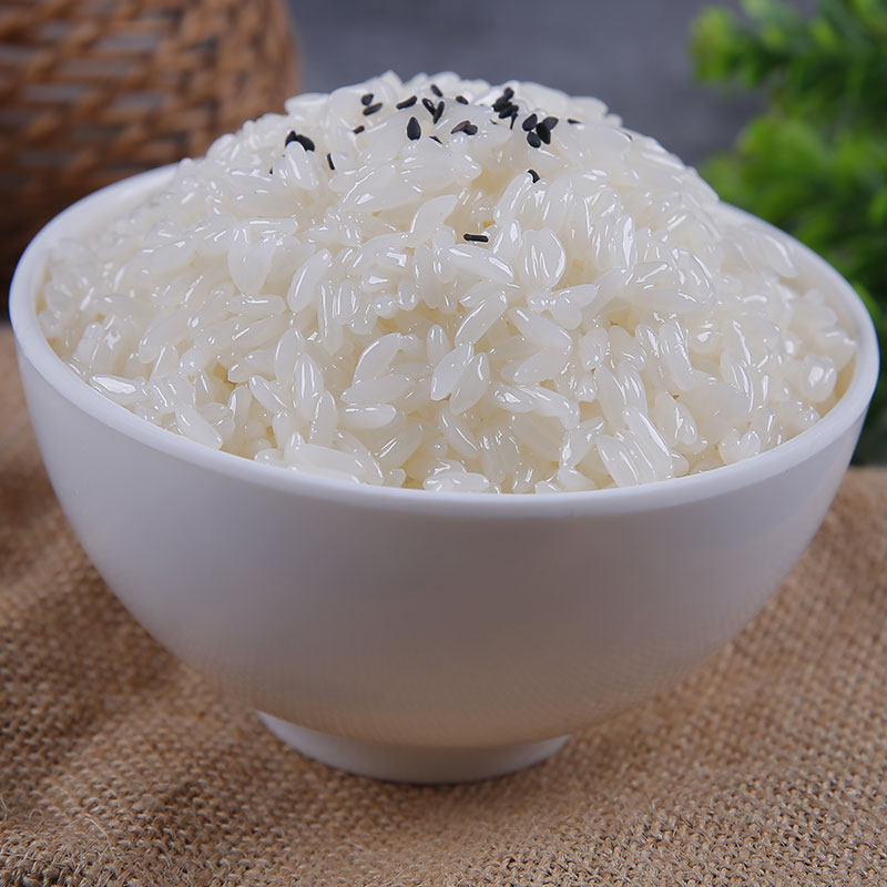 仿真白米饭菜品道具模型食物食品假菜样品饭店仿真水果
