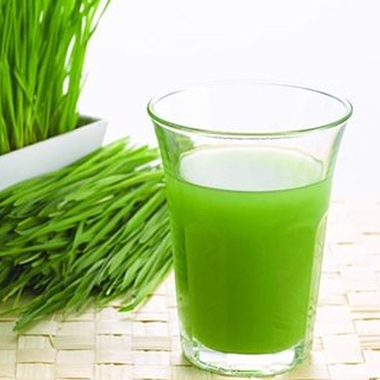 富联小麦草奇异果汁850ml*12瓶马来西亚进口浓缩果汁富联小麦草汁