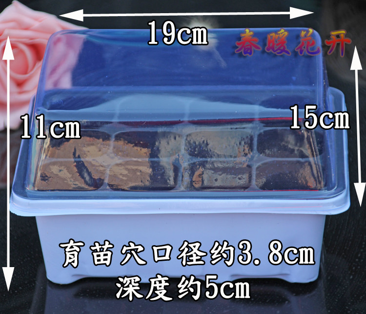 12孔育苗穴 育苗箱 育苗盒 穴盘育苗块保温保湿 育苗盆 育苗钵