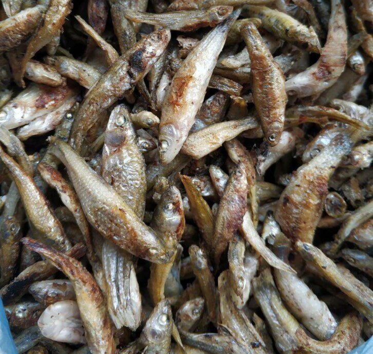 湖北特产野生小麻鱼火焙鱼干货咸鱼小鱼火焙淡水鱼类