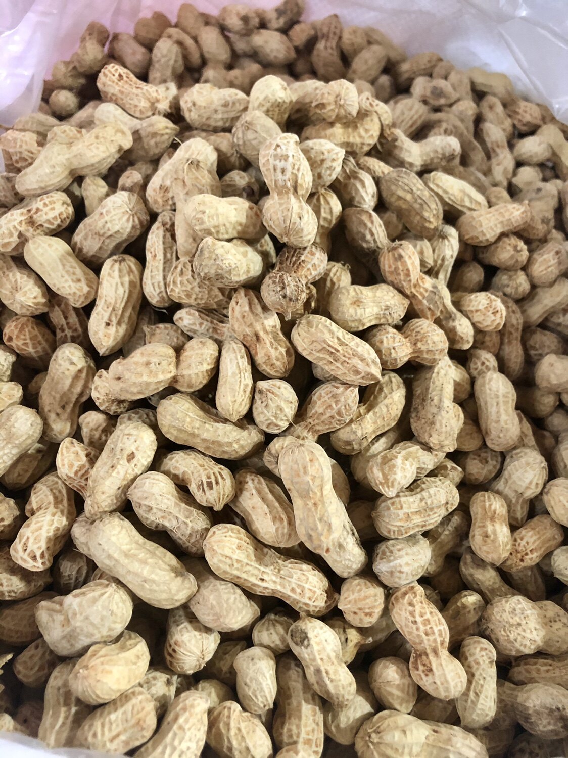 福建闽西特产龙岩花生蒜香口味五香湿烤水煮花生