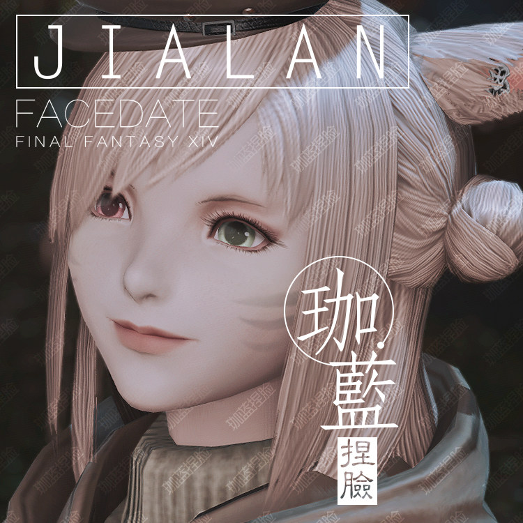 珈蓝最终幻想ff14捏脸数据脸型魅族猫女猫娘异瞳其它设计服务