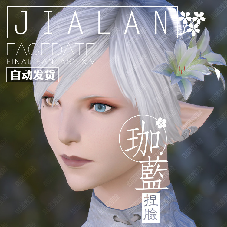 珈蓝最终幻想ff14捏脸数据脸型精灵族女精腿异瞳其它设计服务