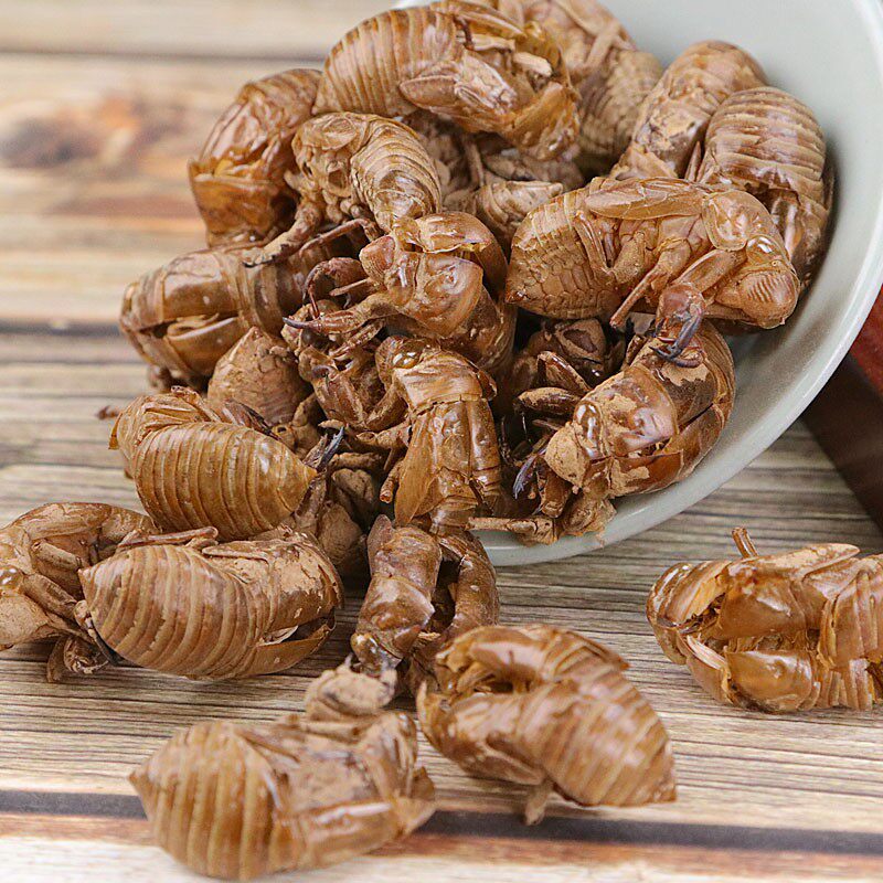 中药材无硫天然优质蝉蜕蝉衣蝉壳知了皮蝉蜕粉其他药食同源食品