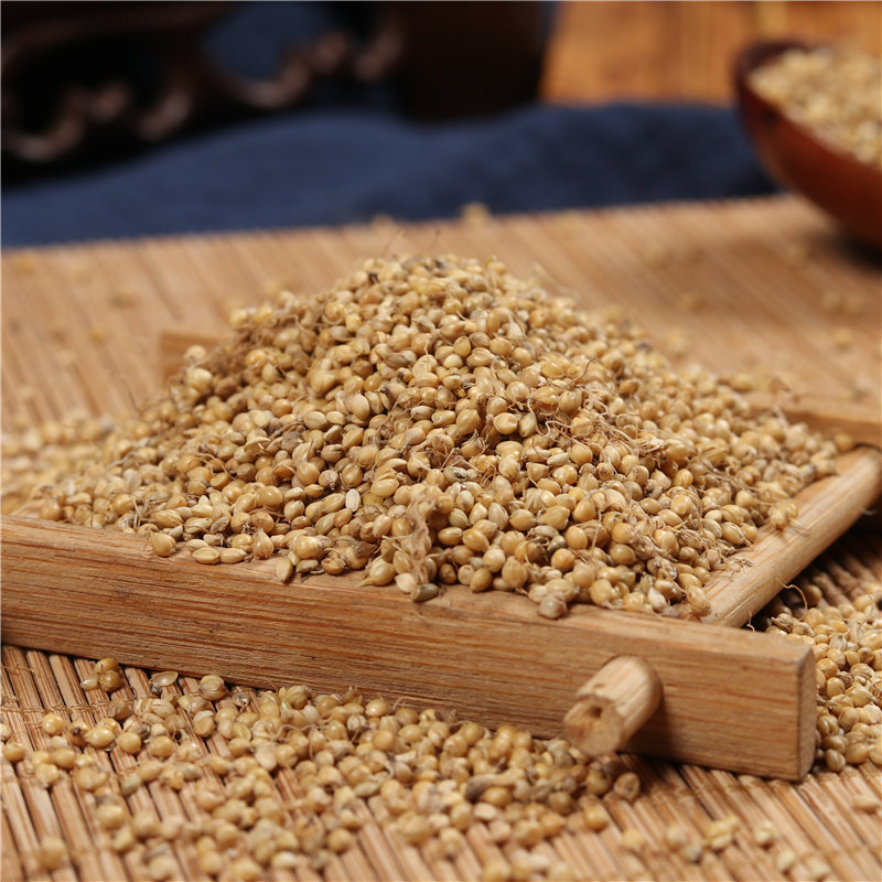 中药材谷芽500克 小米芽 /店内另有生麦芽炒稻芽炒谷芽