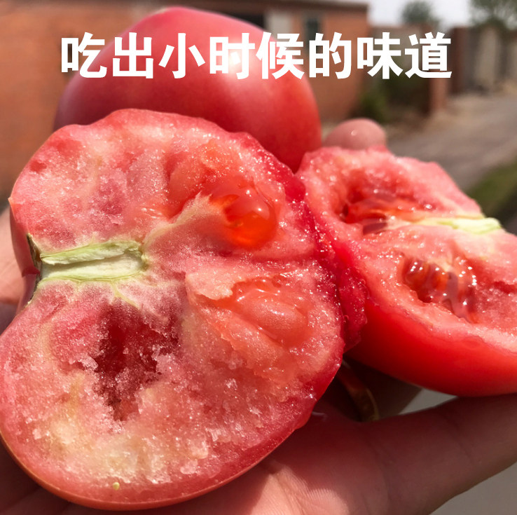 新疆普罗旺斯沙瓤西红柿新鲜自然生吃水果5斤番茄