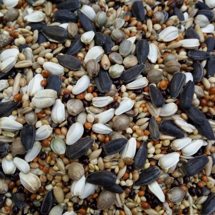 混合合鸟旋风牡丹虎皮鹦鹉日粮繁殖用料鸟食鸟食