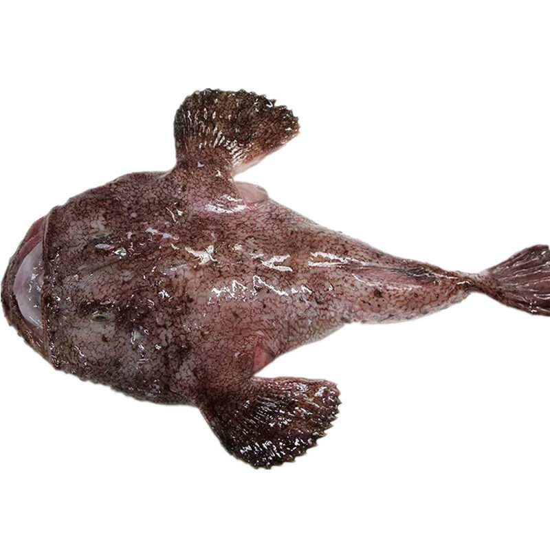 鸡腿鱼干渔民自晒安康扒皮鱼肉厚无咸鱼500克鱼干