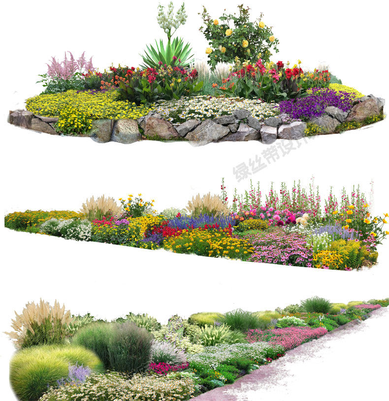 花境花镜植物配置搭配组团设计设计组组合ps设计素材