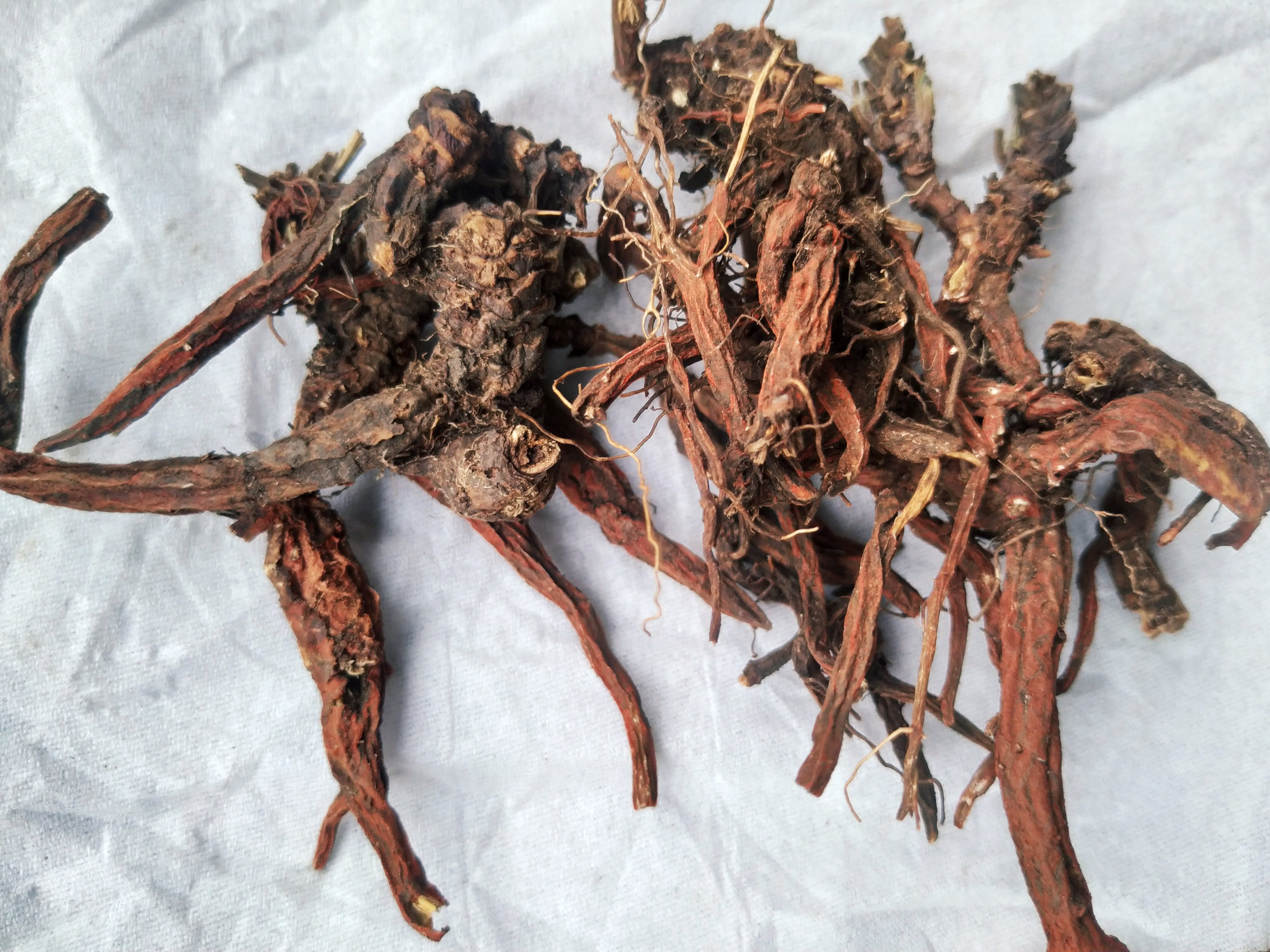 贵州省地产野生生紫丹参500克包邮中草药药材血参根其他药食同源食品