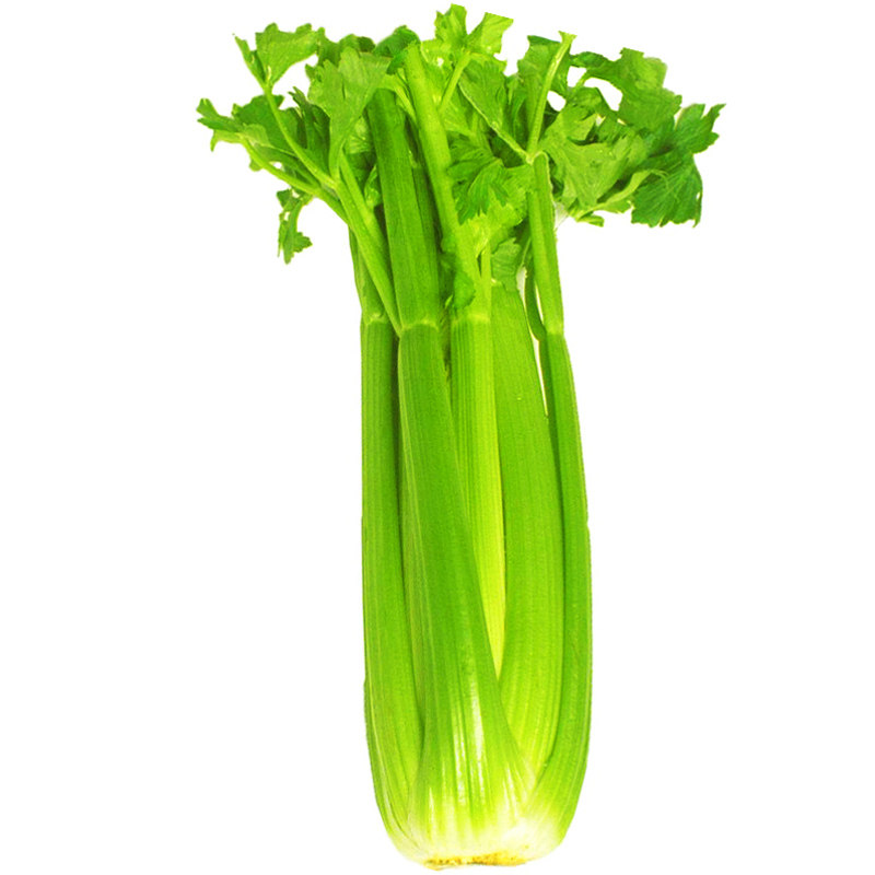 菜种种籽美国西芹种子脆嫩芹菜文图拉四季青菜家庭园艺种子