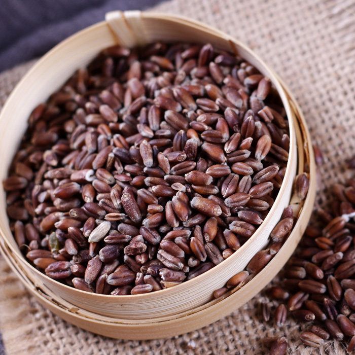 黑小麦粒农家新货全胚芽黑麦子麦仁种子带皮紫麦五谷杂粮粗粮500g