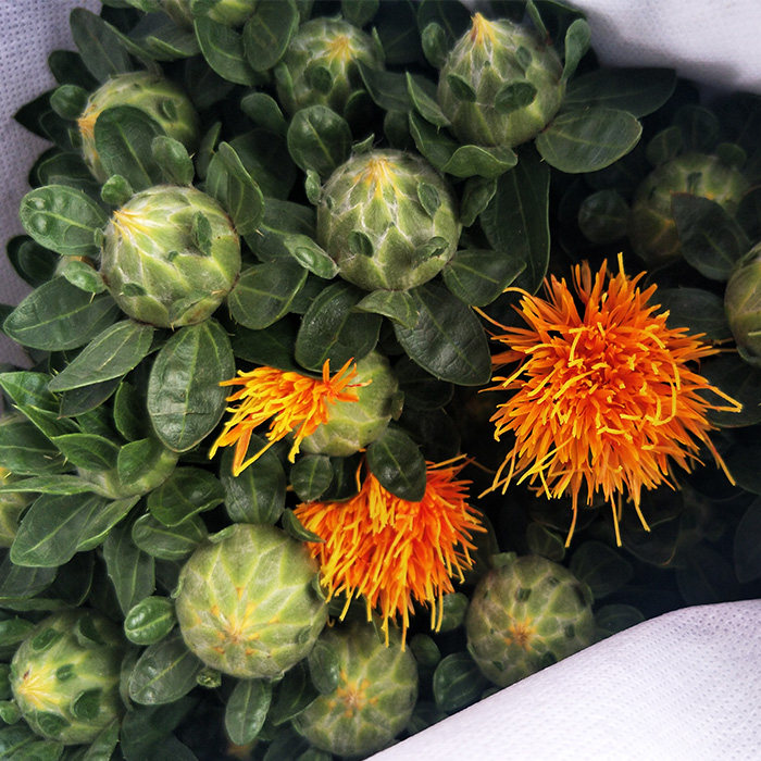 鲜花基地地直云南昆明斗南同城上海速递家用水鲜花速递同城