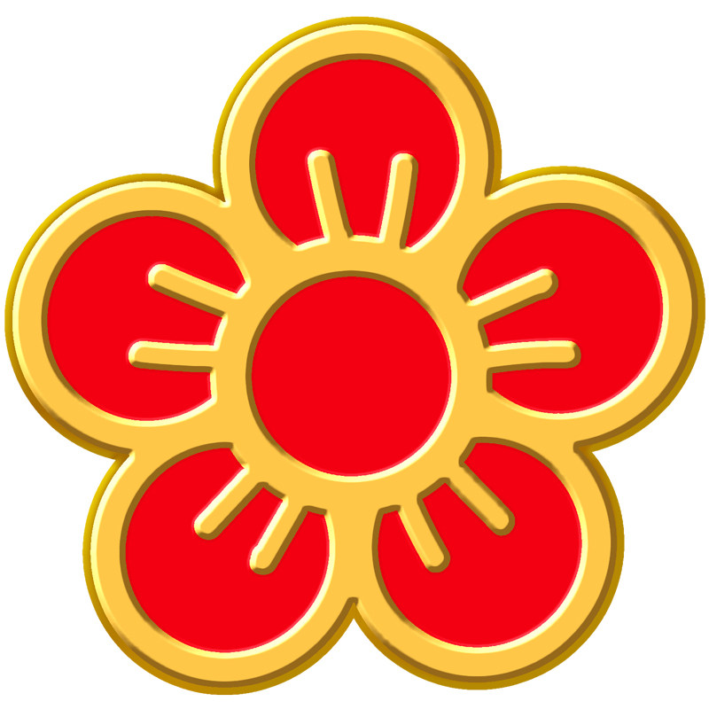 徽章杰出青年纪念品halder小红花金属胸针班级活动胸针