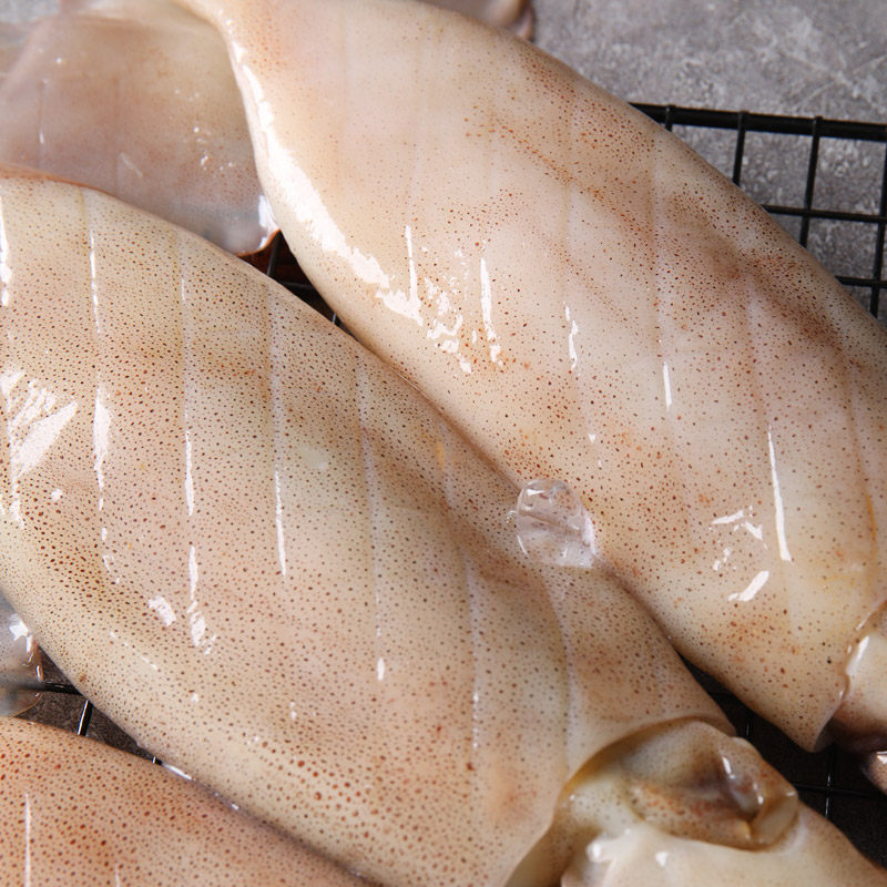 鱿鱼新鲜鲜活渤海湾海鲜水产冷冻威海本地铁板冷冻鱿鱼