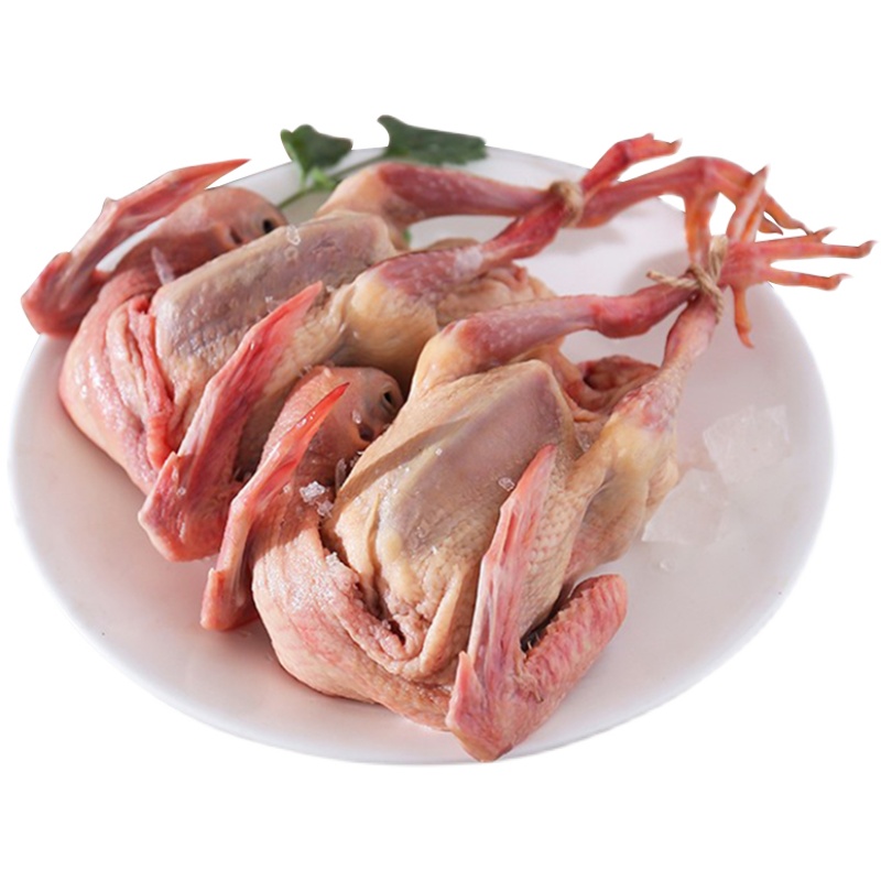 鸽子新鲜乳鸽3只生鲜冷冻农家散养煲汤活体乳鸽