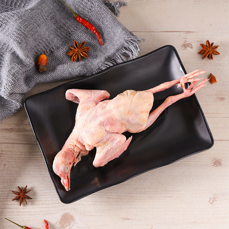 鸽子新鲜乳鸽3只生鲜冷冻农家散养煲汤活体乳鸽