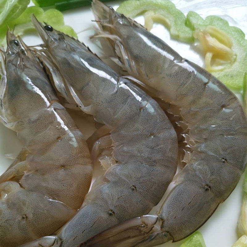 鲜活海虾超大湛江野生海鲜对虾特大南美美基冻虾