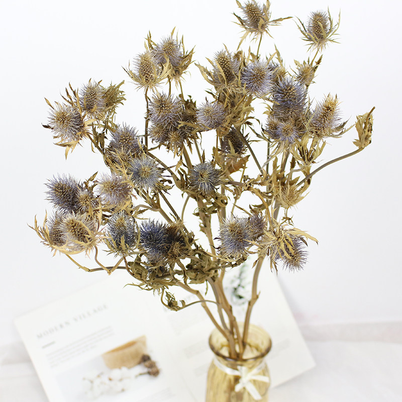 干花花材进口新款情人果多头小刺芹永生花插花干花