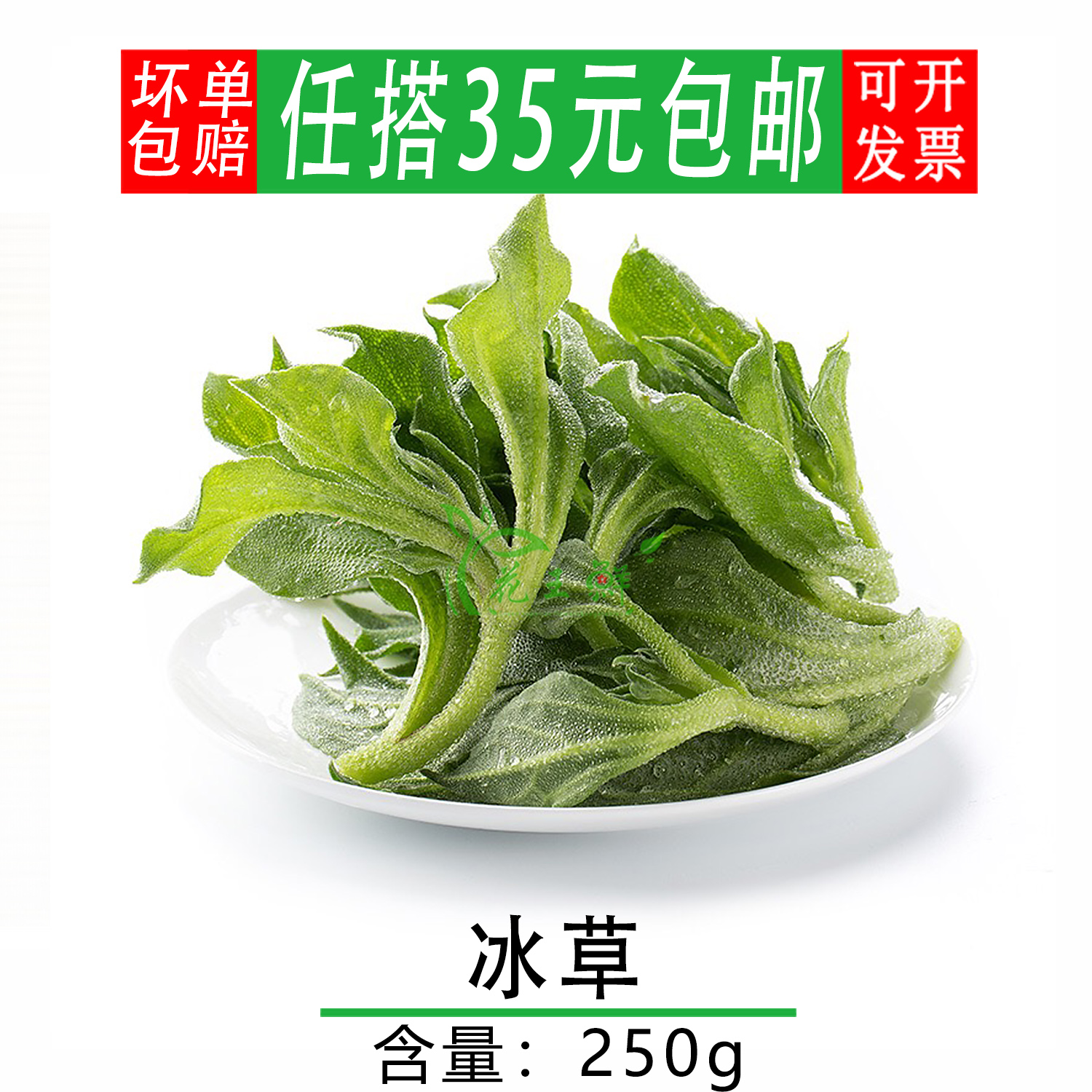 冰草菜名图片