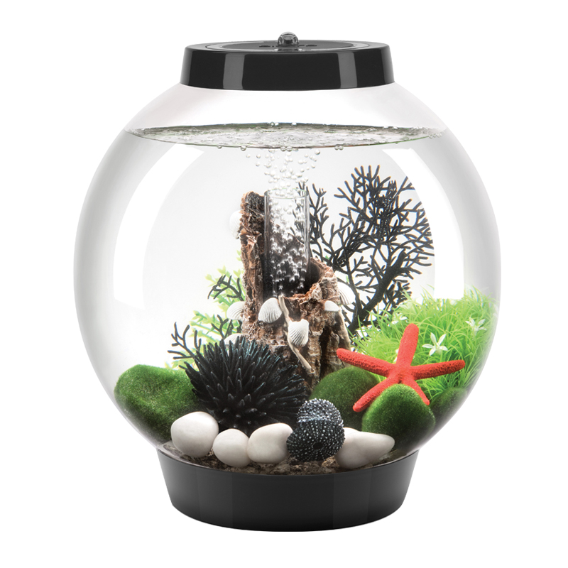 biorb小鱼鱼缸水族箱家用创意桌面小型圆形个性鱼缸