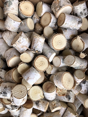 天然白桦木桦木段干树枝白桦树干原木手工材料木片木头道具干花