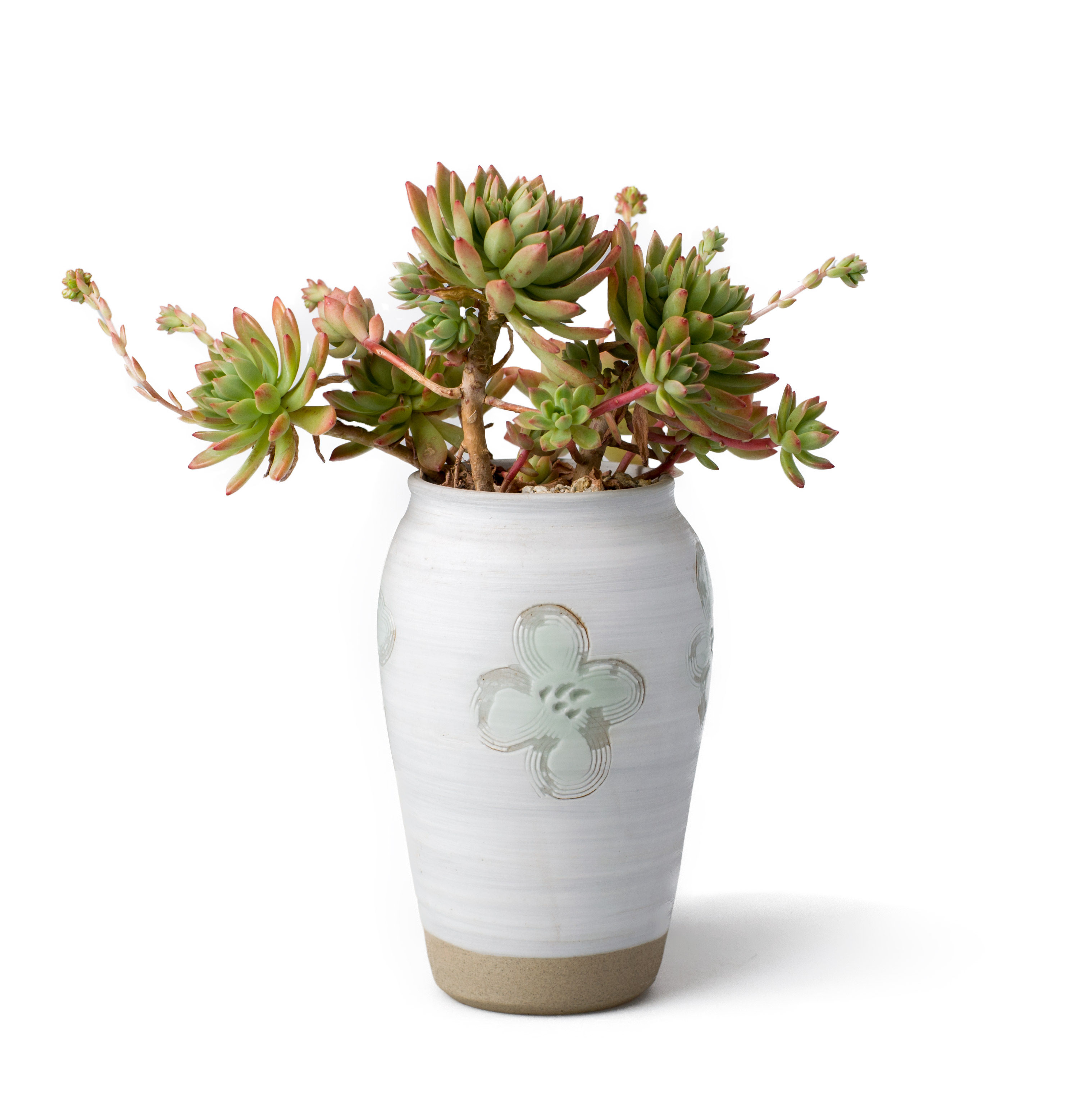 changp种肉肉花盆多肉植物花盆老桩花盆高盆手刻花纹简约个性陶瓷