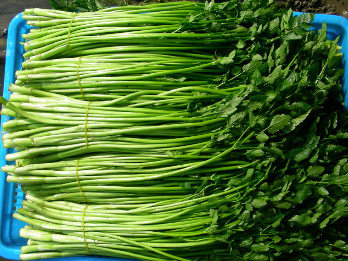 芹菜水芹下市新鲜蔬菜小叶野水净菜农家自种其它