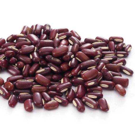 商品详情商品详情手机扫码下单红豆相似商品素养生活有机红小豆生红豆