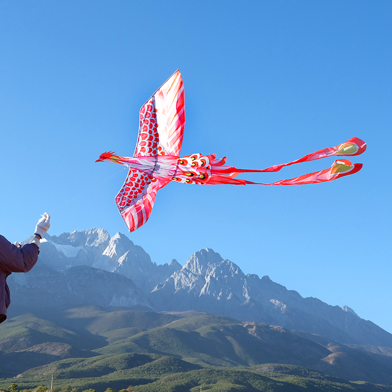 风筝潍坊高质量大型红鸾大人专用凤凰新式儿童风筝