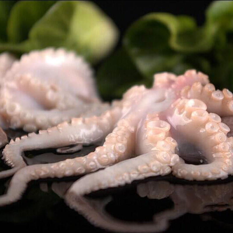 八爪鱼章鱼长腿海鲜鲜活麻辣1000g冷冻迷你冷冻章鱼