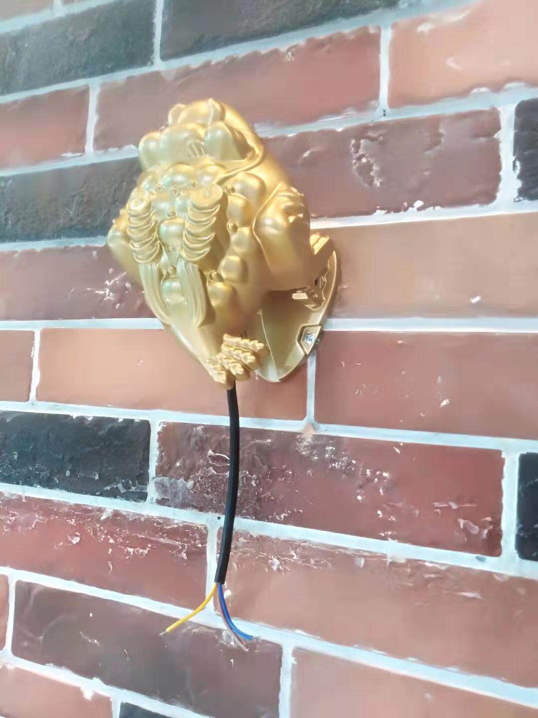 金蟾防水射灯led金色户外投光蛤蟆景观灯聚光灯其它灯具灯饰