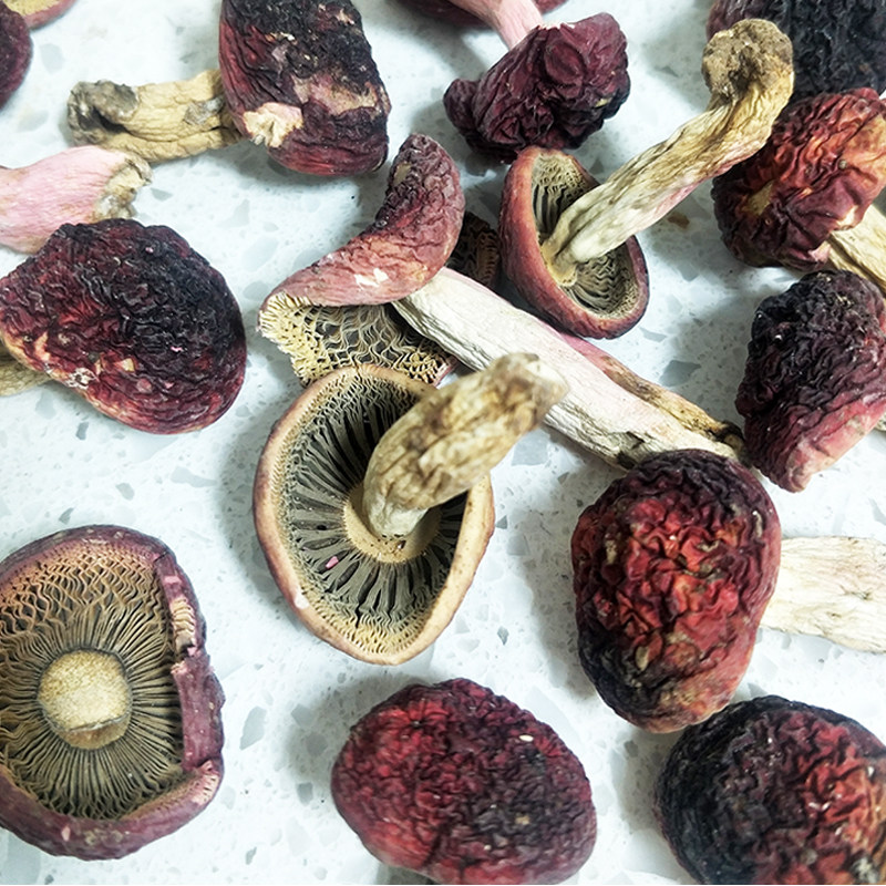 正宗野生小红菇100g小丁菇云南野生菌菌类特产蘑菇香菇红椎菌红菌