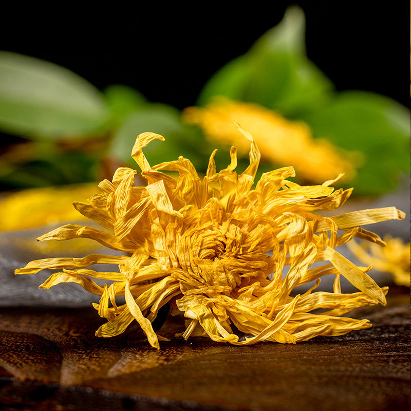 菊花茶金丝皇菊一朵一杯大朵金丝菊花黄菊无特级大菊花茶正品
