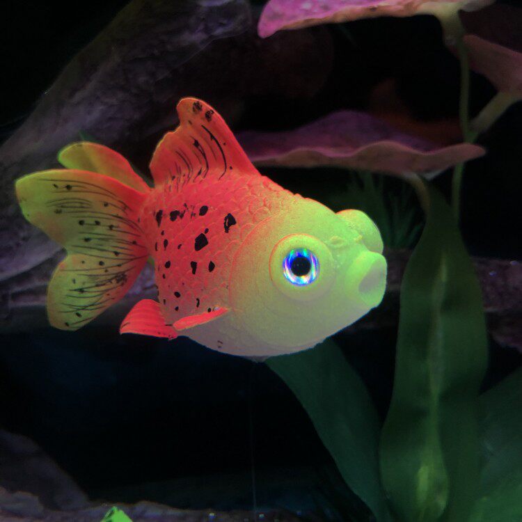 金鱼鱼缸仿真装饰品漂浮软体硅胶夜光荧光鱼假造景