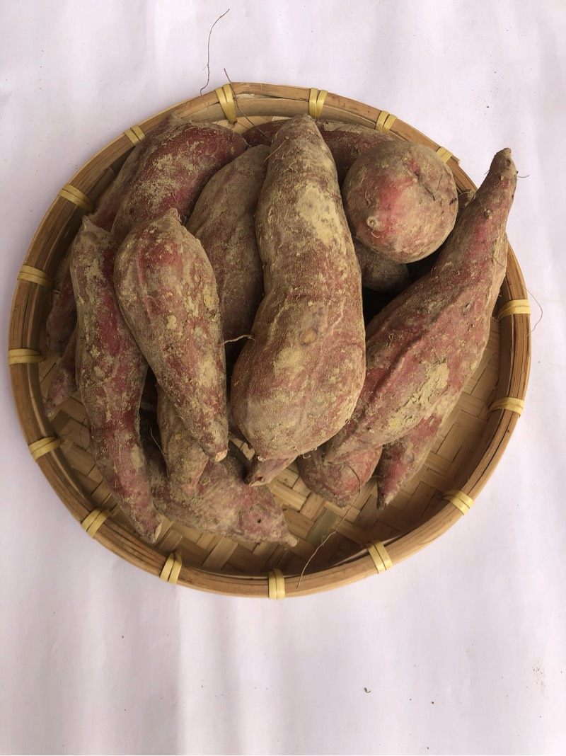 梅州特产蕉岭富硒红薯红心蜜薯红心薯农家自种现挖地瓜软甜糯包邮