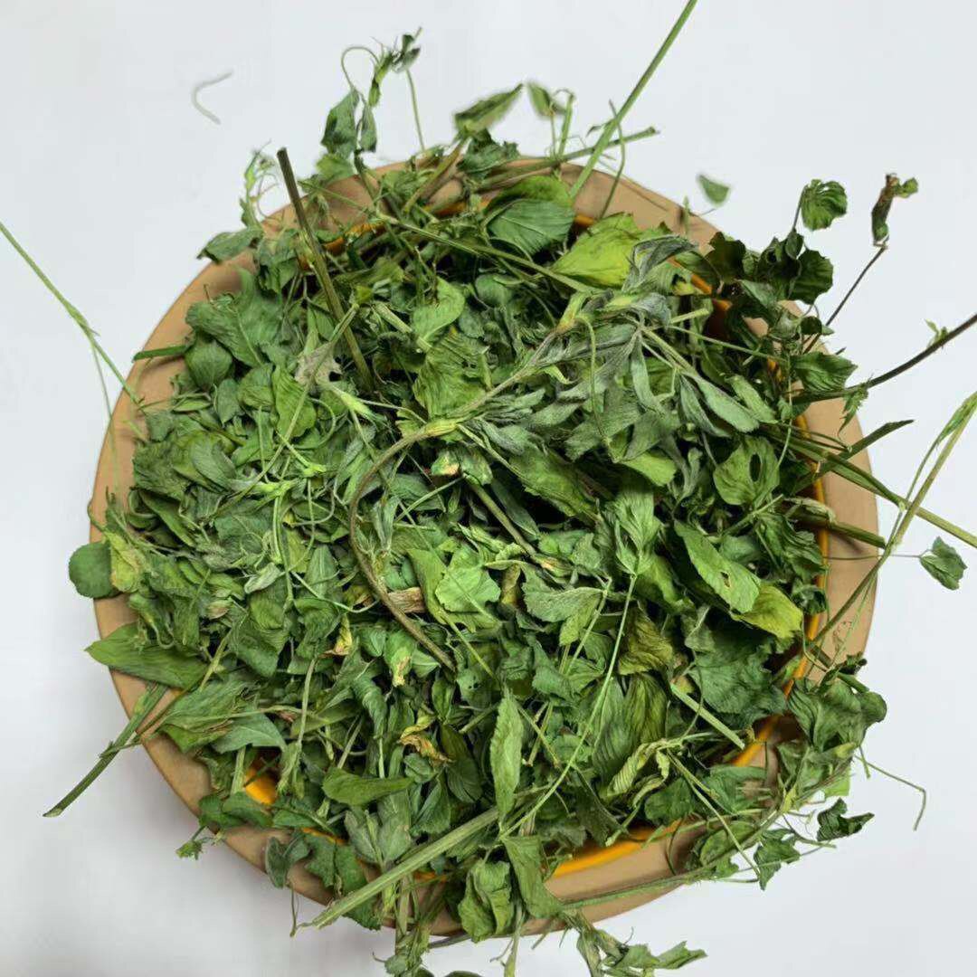 龙猫兔子天竺鼠粮无公害紫花苜蓿苜蓿草草草叶多杆兔兔干草